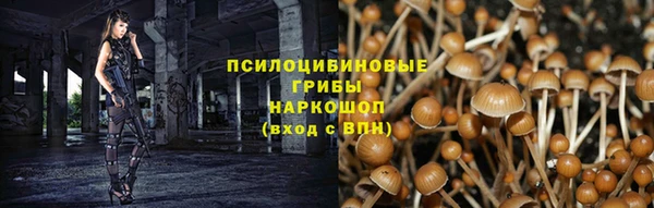 mdpv Волоколамск
