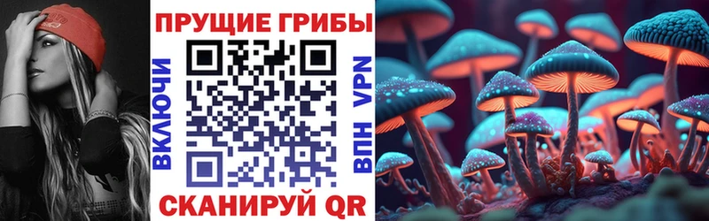 Галлюциногенные грибы ЛСД  купить  цена  Канск 